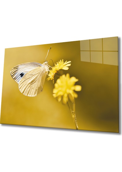 Kelebek Cam Tablo