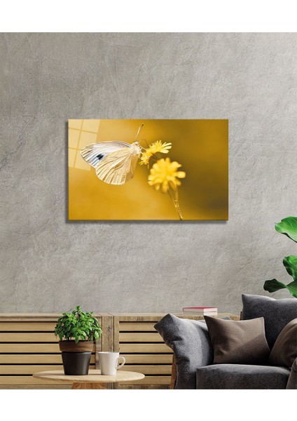 Kelebek Cam Tablo fiyatları