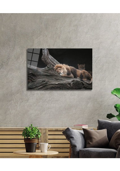 Aslan Cam Tablo fiyatları