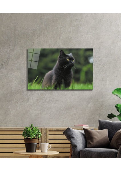 Kedi 2 Cam Tablo fiyatları