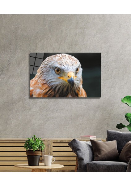 Kartal 1 Cam Tablo fiyatları