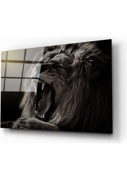 Aslan 5 Cam Tablo