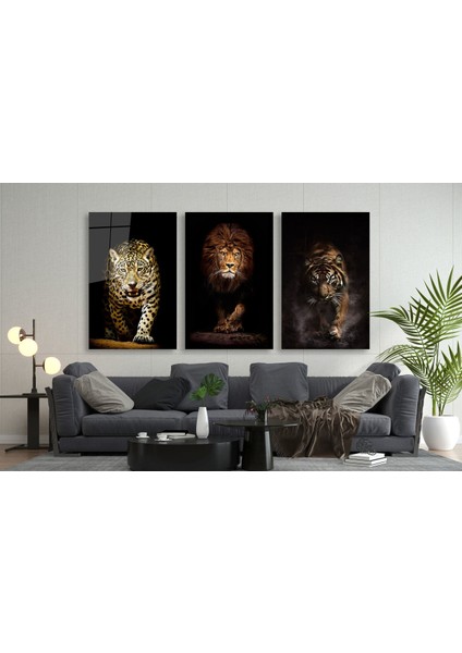 Aslan,kaplan,jaguar 3 Lü Set Cam Tablo fiyatları