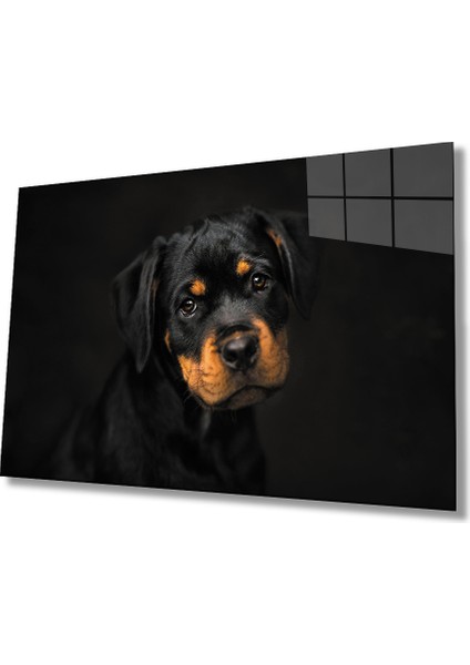 Köpek 6 Cam Tablo