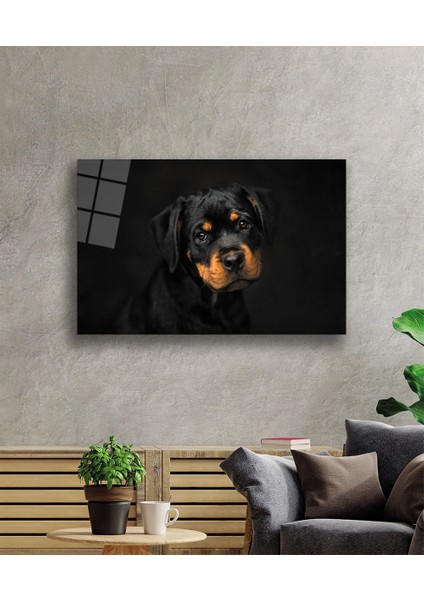 Köpek 6 Cam Tablo