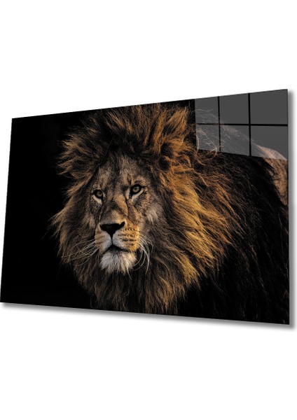 Aslan 9 Cam Tablo
