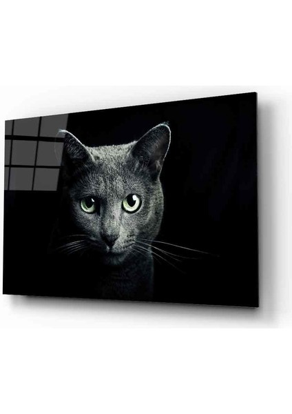 Kedi 8 Hayvan Cam Tablo