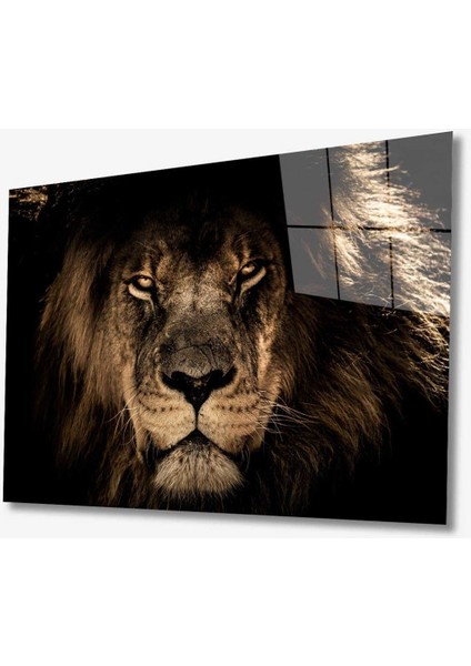 Aslan Hayvan Cam Tablo 4mm Dayanıklı Temperli Cam