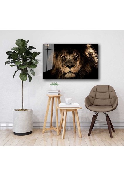 Aslan Hayvan Cam Tablo 4mm Dayanıklı Temperli Cam fiyatları