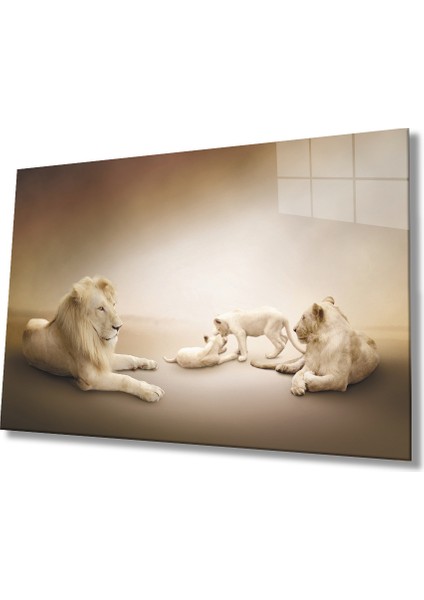 Aslan Hayvan Cam Tablo 4mm Dayanıklı Temperli Cam