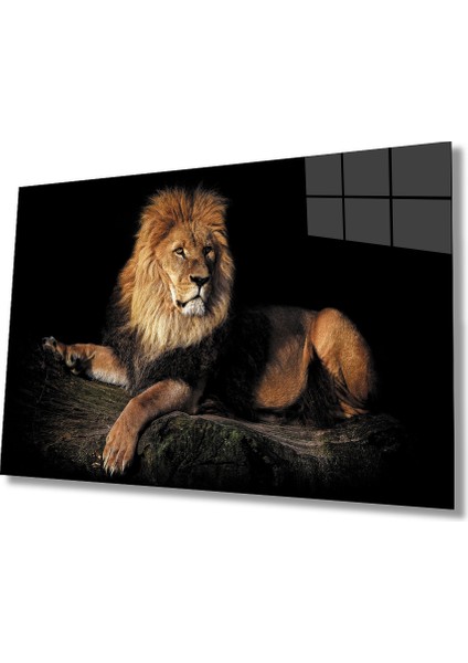 Aslan Hayvan Cam Tablo 4mm Dayanıklı Temperli Cam