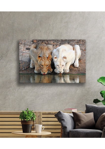 Aslan Hayvan Cam Tablo 4mm Dayanıklı Temperli Cam fiyatları