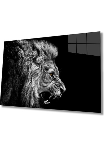 Aslan Hayvan Cam Tablo 4mm Dayanıklı Temperli Cam