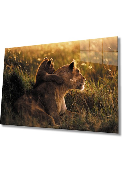 Aslan Hayvan Cam Tablo 4mm Dayanıklı Temperli Cam