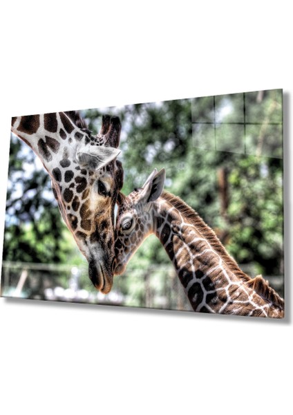 Zürefa Hayvan Cam Tablo 4mm Dayanıklı Temperli Cam