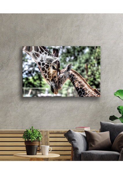 Zürefa Hayvan Cam Tablo 4mm Dayanıklı Temperli Cam fiyatları