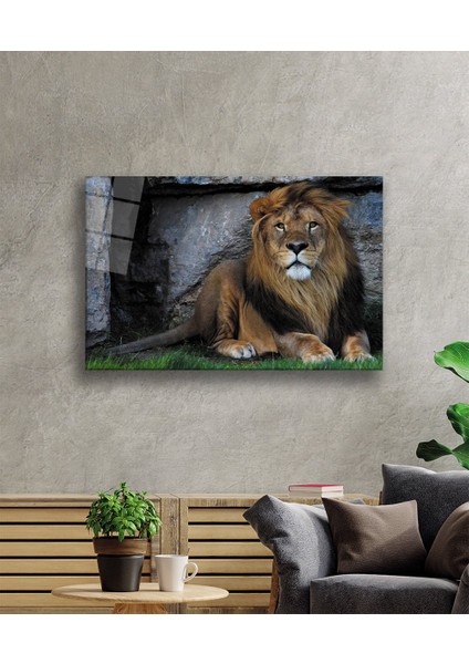 Aslan Hayvan Cam Tablo 4mm Dayanıklı Temperli Cam fiyatları