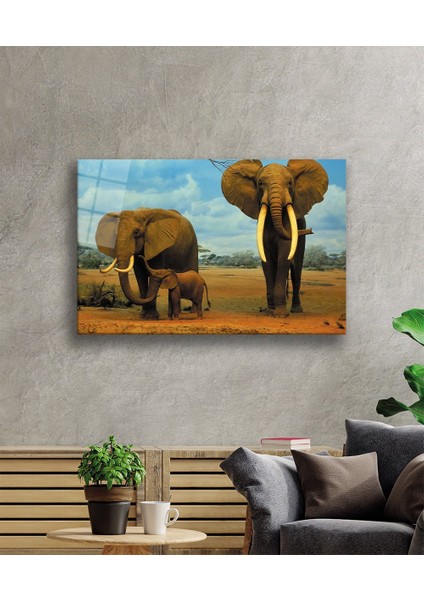 Filler Hayvan Cam Tablo 4mm Dayanıklı Temperli Cam fiyatları