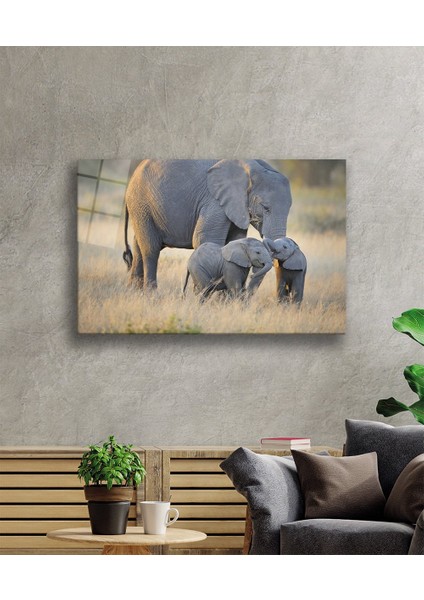 Filler Hayvan Cam Tablo 4mm Dayanıklı Temperli Cam fiyatları