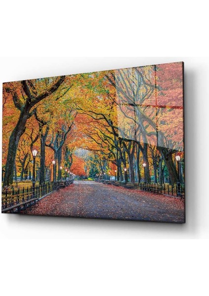 Doğa Manzara Cam Tablo 4mm Dayanıklı Temperli Cam