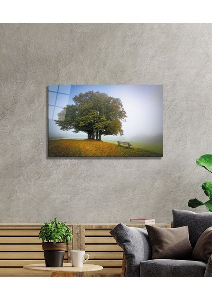 Çınar Cam Tablo fiyatları