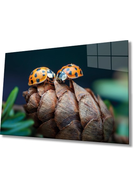 Uğur Böceği ve Yaprak Cam Tablo, Ev ve Ofis Duvar Dekoru, Hediyelik Büyük Temperli 4 mm Cam Tablo