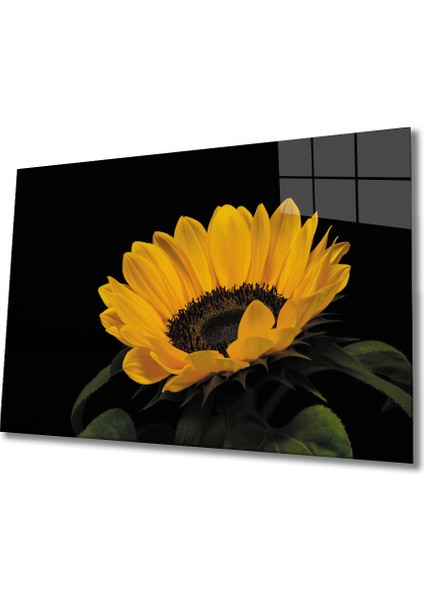 Ay Çiçeği 1 Cam Tablo