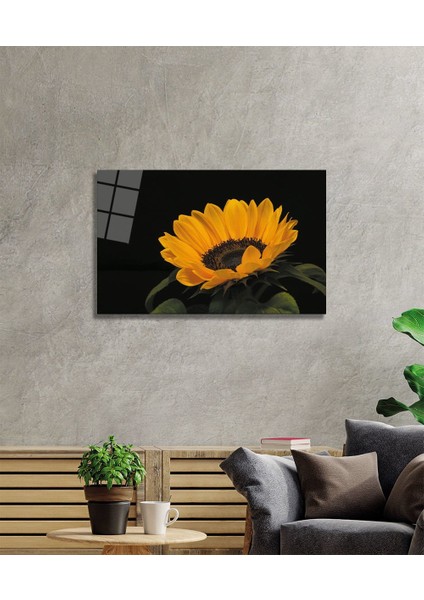 Ay Çiçeği 1 Cam Tablo fiyatları