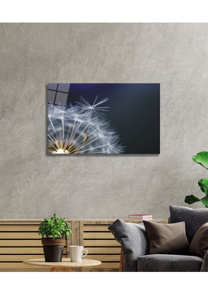 Tozcuk Cam Tablo fiyatları