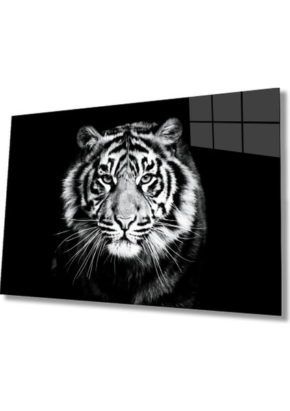 Kaplan 3 Hayvan Cam Tablo