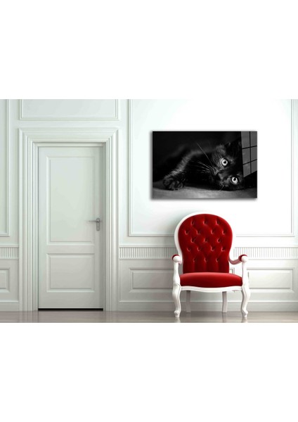 Kedi 11 Hayvan Cam Tablo fiyatları