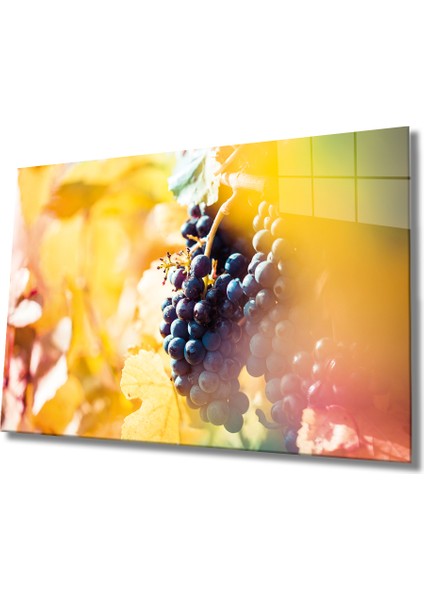 Meyveler Cam Tablo 4mm Dayanıklı Temperli Cam