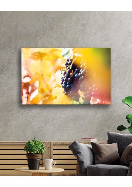 Meyveler Cam Tablo 4mm Dayanıklı Temperli Cam fiyatları