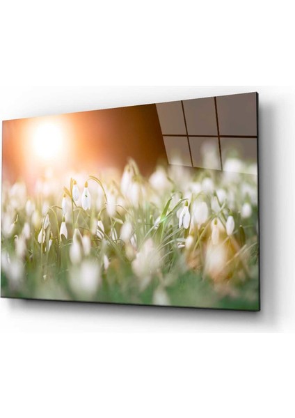 Doğa Manzara Cam Tablo 4mm Dayanıklı Temperli Cam