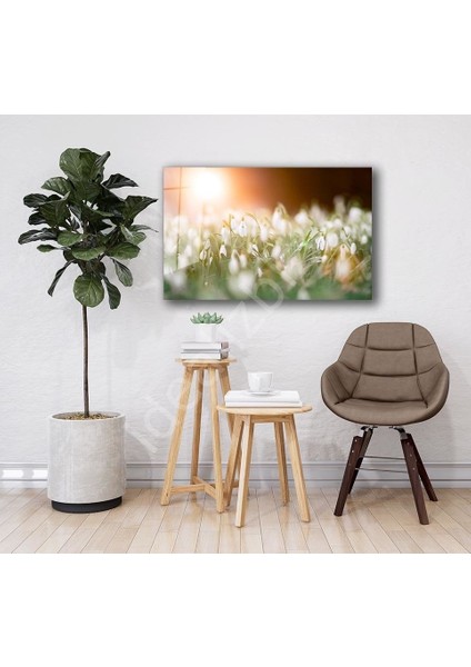 Doğa Manzara Cam Tablo 4mm Dayanıklı Temperli Cam