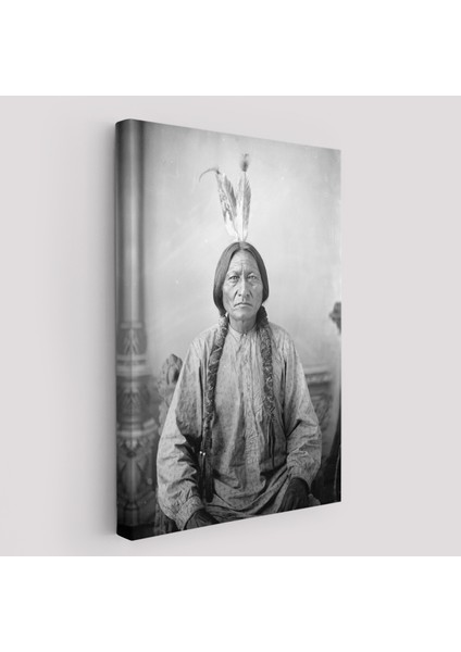 Oturan Boğa Tablosu, Amerikaya Karşı Savaşan Son Kızılderili Kabile Şefi, Sitting BULL-6416