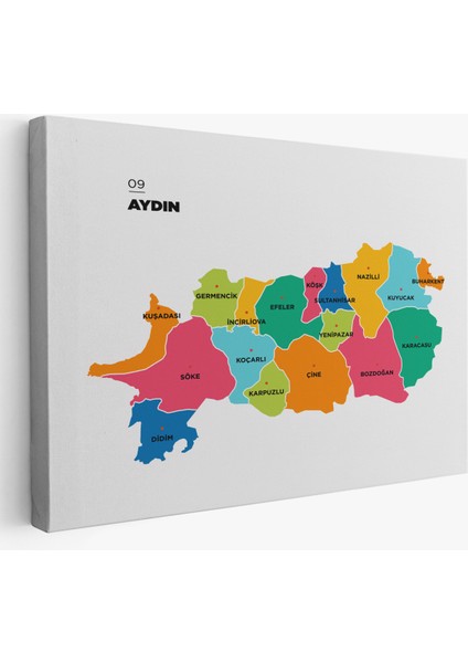 Aydın Ili ve Ilçeler Haritası Dekoratif Kanvas Tablo 1276