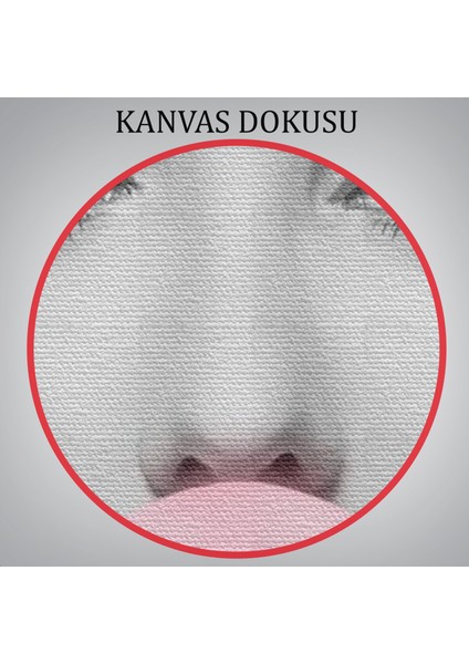 Marilyn Monroe Pembe Kabarcık Sakızlı Dekoratif Kanvas TABLO-5108-3 indirimleri