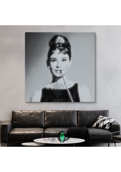 Audrey Hepburn'ün Siyah Bayaz Kanvas TABLOSU-5071 fiyatları
