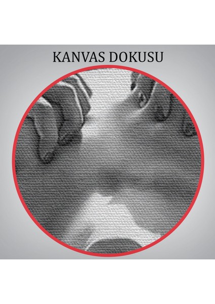 Çığlık Atan Güzel Kadın Kanvas Tablo, Siyah Beyaz TABLO-5333B indirimleri