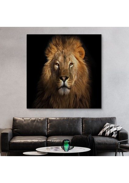 Aslan Dekoratif Kanvas TABLO-5847