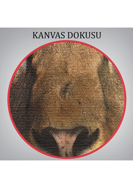 Aslan Dekoratif Kanvas TABLO-5847