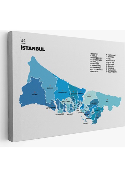 Istanbul Ili ve Ilçeler Haritası Dekoratif Kanvas Tablo 1366