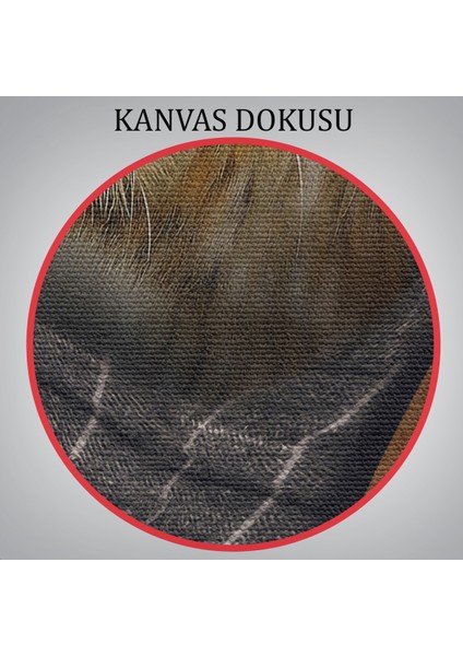 Kaplan Adam Dekoratif Kanvas Duvar TABLOSU-5938