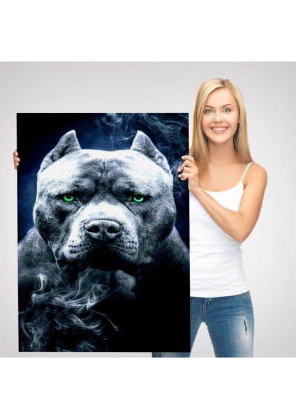 Pit Bull Yeşil Gözlü Amerikan Bully Köpek Kanvas TABLO-5259