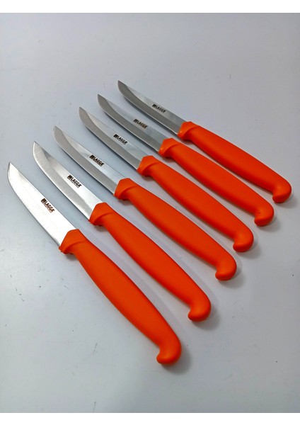 6 Parça El Yapımı Kişiselleştirilebilir Meyve Bıçak Seti ( Renk Çeşitli ) Uzunluk 19 cm fiyatları