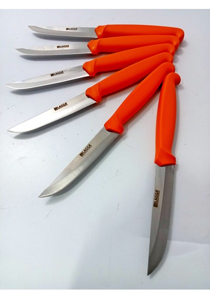 6 Parça El Yapımı Kişiselleştirilebilir Meyve Bıçak Seti ( Renk Çeşitli ) Uzunluk 19 cm modelleri