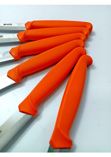 6 Parça El Yapımı Kişiselleştirilebilir Meyve Bıçak Seti ( Renk Çeşitli ) Uzunluk 19 cm fırsatları