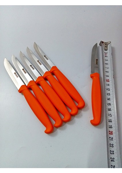 6 Parça El Yapımı Kişiselleştirilebilir Meyve Bıçak Seti ( Renk Çeşitli ) Uzunluk 19 cm indirimleri