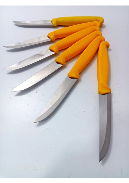 6 Parça El Yapımı Kişiselleştirilebilir Meyve Bıçak Seti ( Renk Çeşitli ) Uzunluk 19 cm modelleri